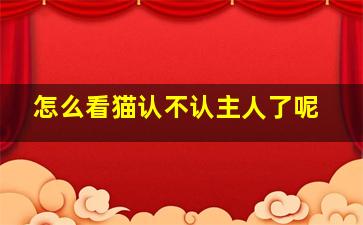 怎么看猫认不认主人了呢