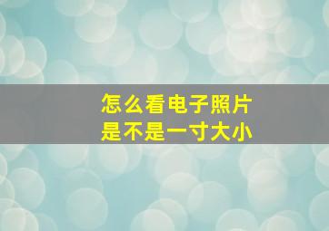 怎么看电子照片是不是一寸大小