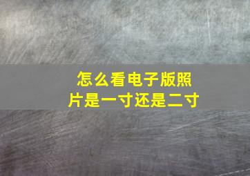 怎么看电子版照片是一寸还是二寸