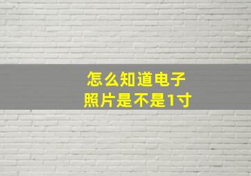 怎么知道电子照片是不是1寸