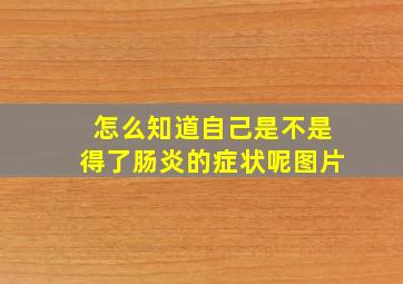 怎么知道自己是不是得了肠炎的症状呢图片