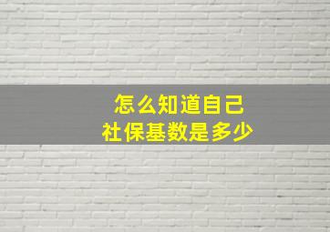 怎么知道自己社保基数是多少