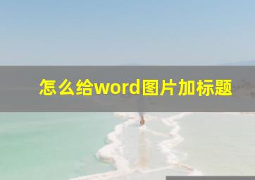 怎么给word图片加标题