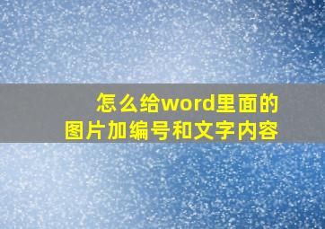 怎么给word里面的图片加编号和文字内容