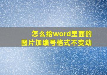 怎么给word里面的图片加编号格式不变动