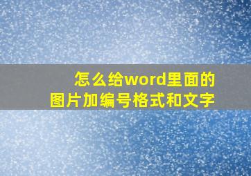 怎么给word里面的图片加编号格式和文字