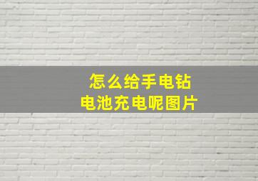 怎么给手电钻电池充电呢图片