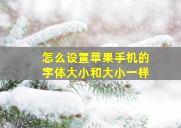 怎么设置苹果手机的字体大小和大小一样