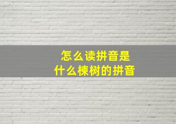 怎么读拼音是什么楝树的拼音