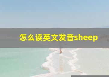 怎么读英文发音sheep