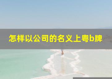 怎样以公司的名义上粤b牌