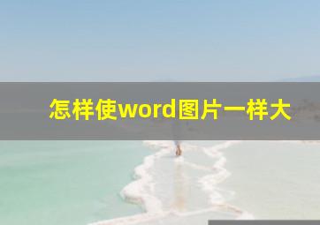 怎样使word图片一样大