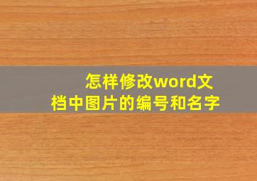 怎样修改word文档中图片的编号和名字