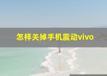 怎样关掉手机震动vivo