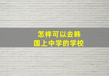 怎样可以去韩国上中学的学校