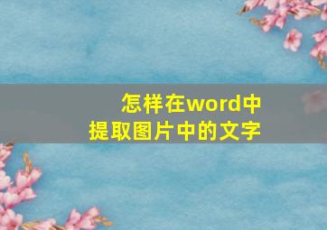 怎样在word中提取图片中的文字