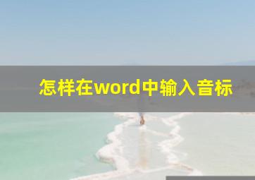 怎样在word中输入音标