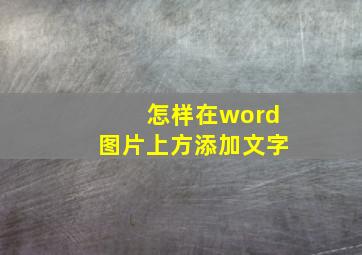 怎样在word图片上方添加文字