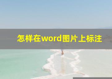 怎样在word图片上标注