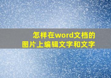 怎样在word文档的图片上编辑文字和文字