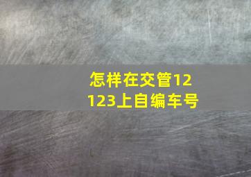 怎样在交管12123上自编车号