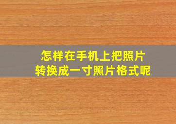 怎样在手机上把照片转换成一寸照片格式呢