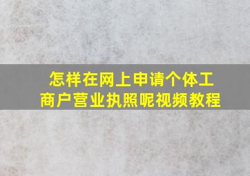 怎样在网上申请个体工商户营业执照呢视频教程