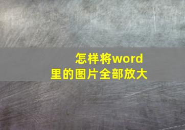 怎样将word里的图片全部放大