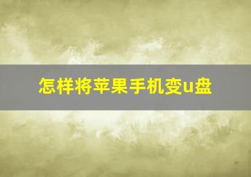 怎样将苹果手机变u盘