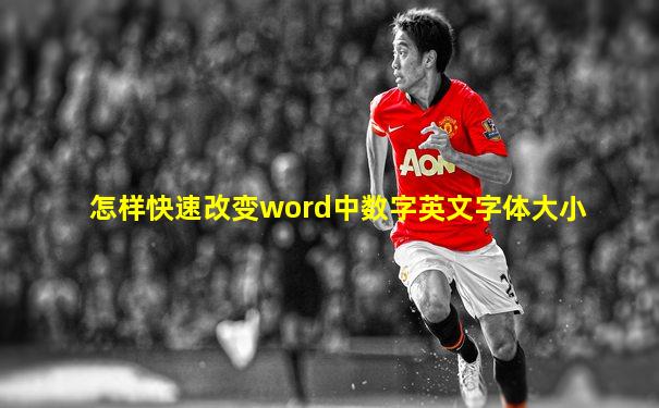 怎样快速改变word中数字英文字体大小