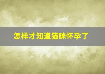 怎样才知道猫咪怀孕了