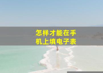 怎样才能在手机上填电子表