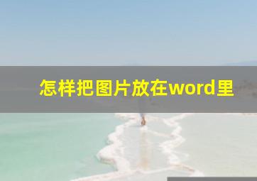 怎样把图片放在word里