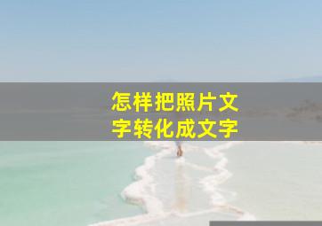 怎样把照片文字转化成文字