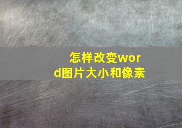 怎样改变word图片大小和像素