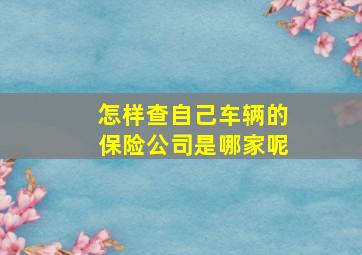 怎样查自己车辆的保险公司是哪家呢