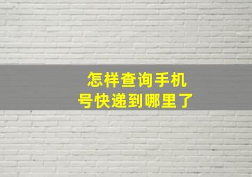 怎样查询手机号快递到哪里了