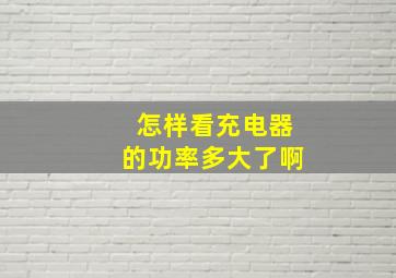 怎样看充电器的功率多大了啊