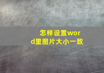 怎样设置word里图片大小一致