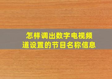 怎样调出数字电视频道设置的节目名称信息