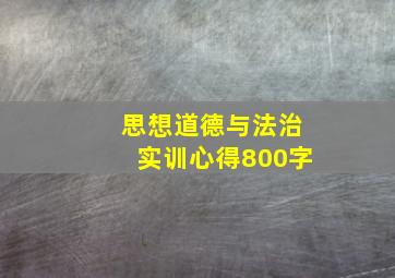 思想道德与法治实训心得800字