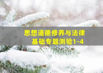 思想道德修养与法律基础专题测验1-4