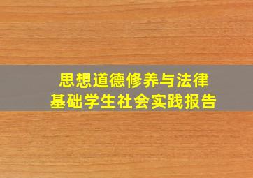 思想道德修养与法律基础学生社会实践报告