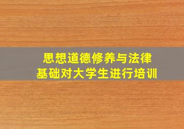 思想道德修养与法律基础对大学生进行培训