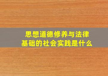 思想道德修养与法律基础的社会实践是什么