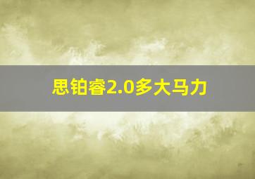 思铂睿2.0多大马力