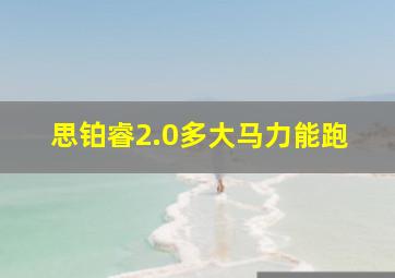 思铂睿2.0多大马力能跑