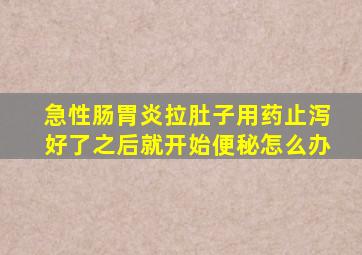 急性肠胃炎拉肚子用药止泻好了之后就开始便秘怎么办