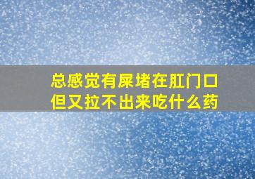 总感觉有屎堵在肛门口但又拉不出来吃什么药