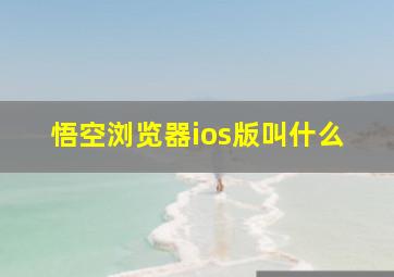 悟空浏览器ios版叫什么